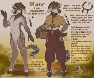 Ref sheet/custom design